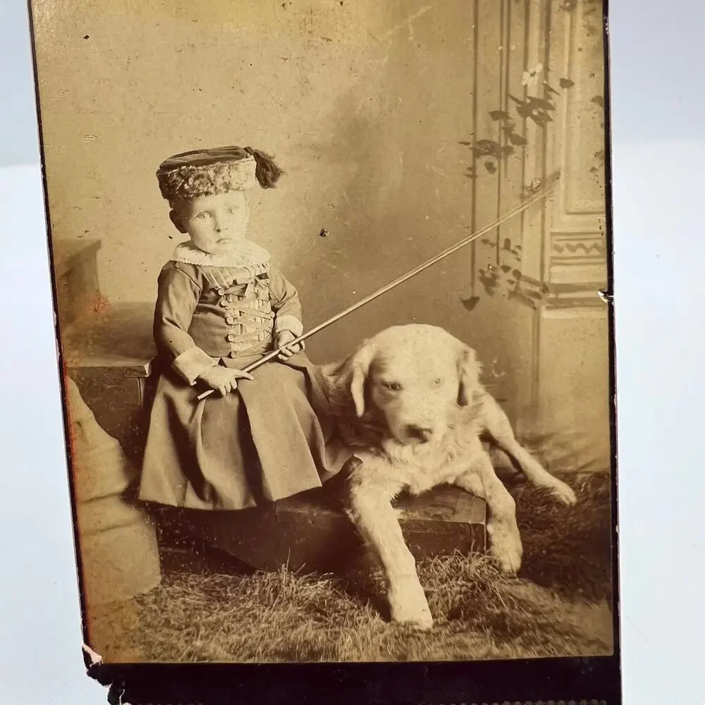 Antique Mounted Card Stock Black White Photo Child Boy Puppy 1800's Photograph‎